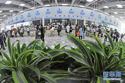 潮平两岸阔 奋楫正当时——来自辽宁的高质量发展实践信息咨询服务